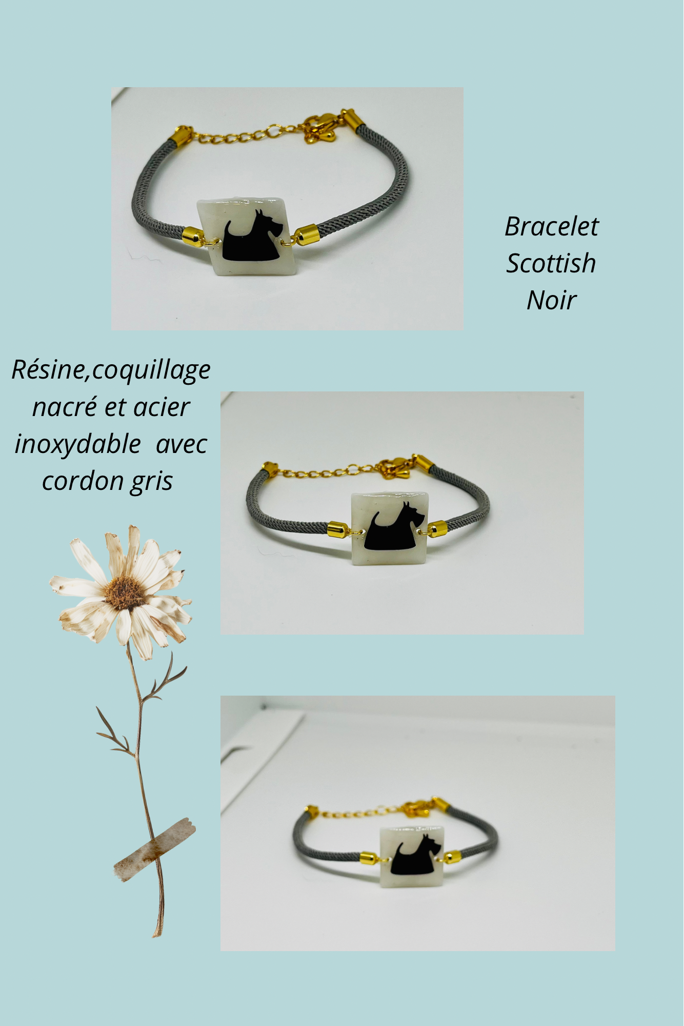 Bracelet cordon et coquillage nacré