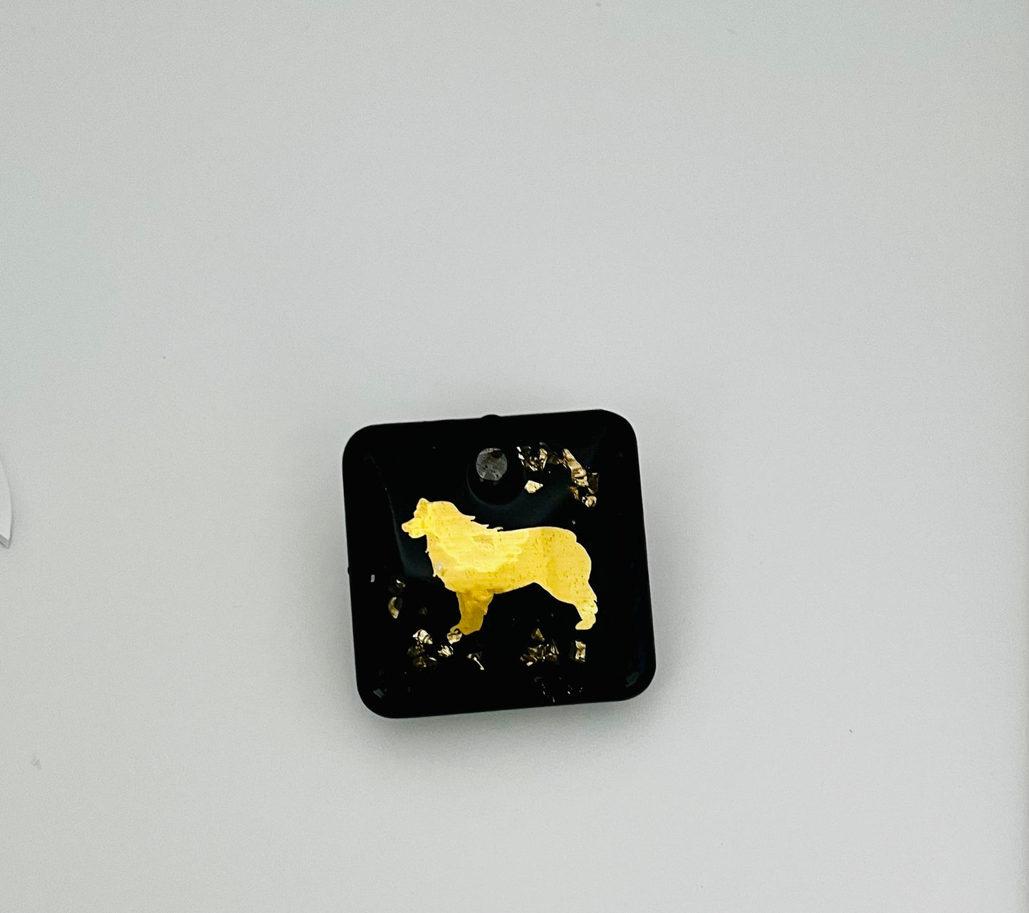 Broche pour Dogshow