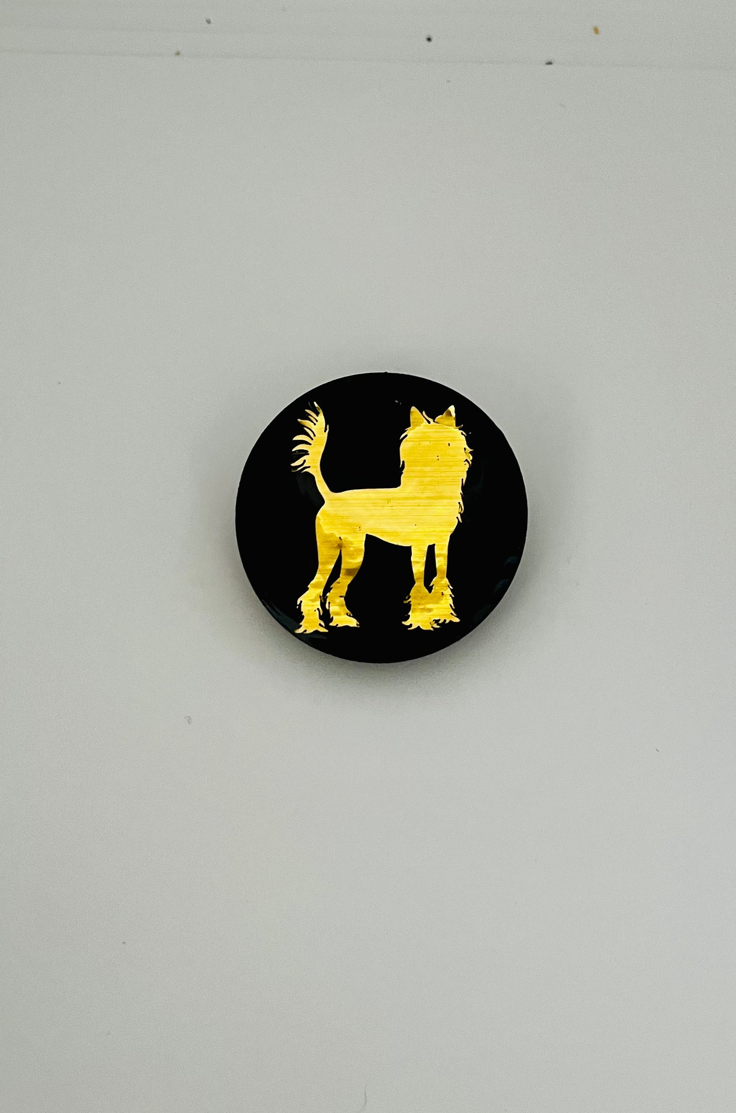 Broche pour Dogshow