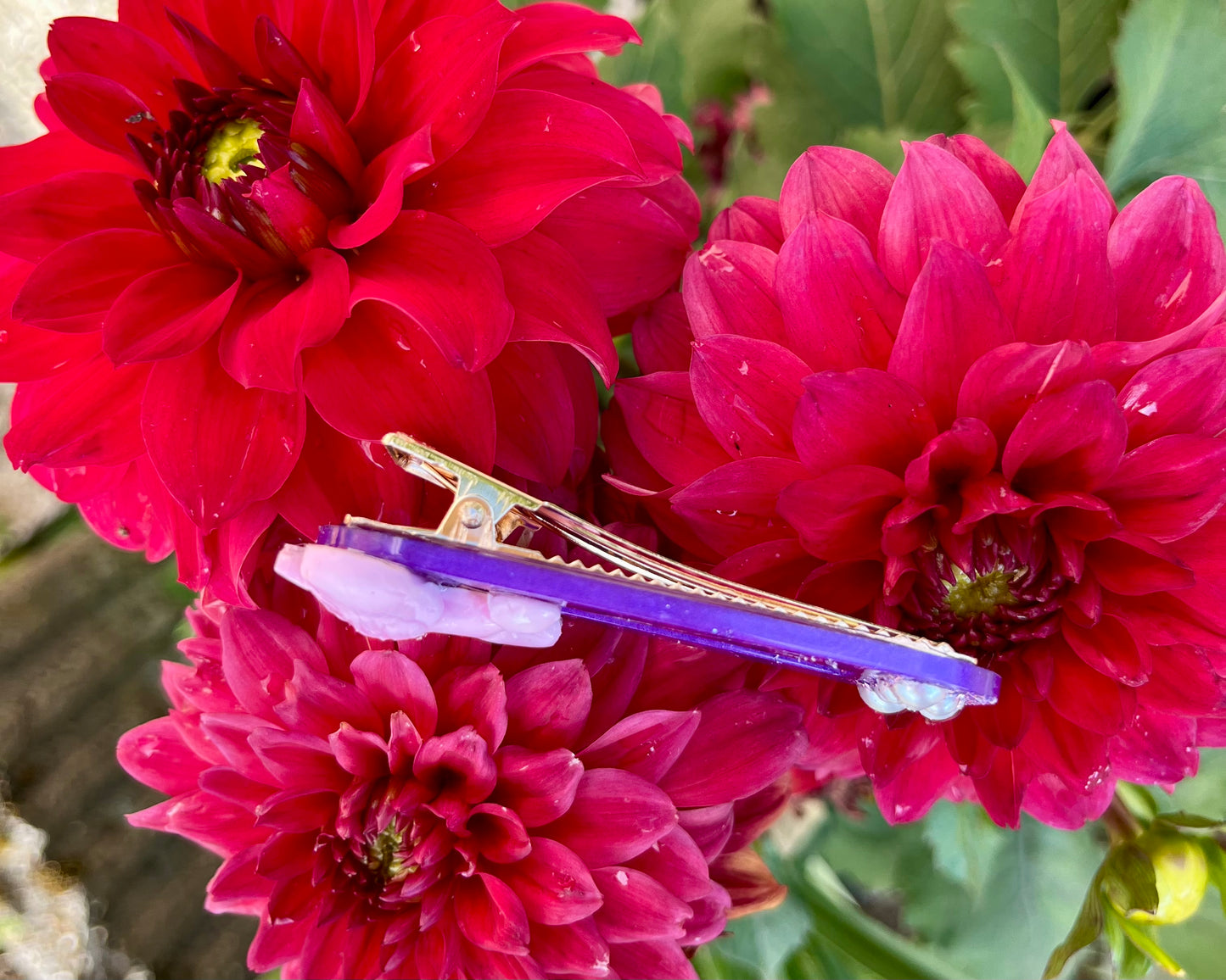 Barrette cheveux violette et caniche rose
