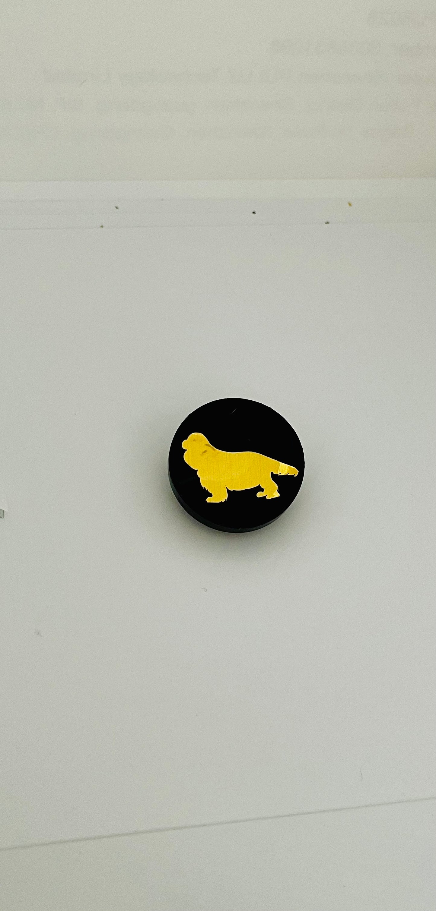 Broche pour Dogshow