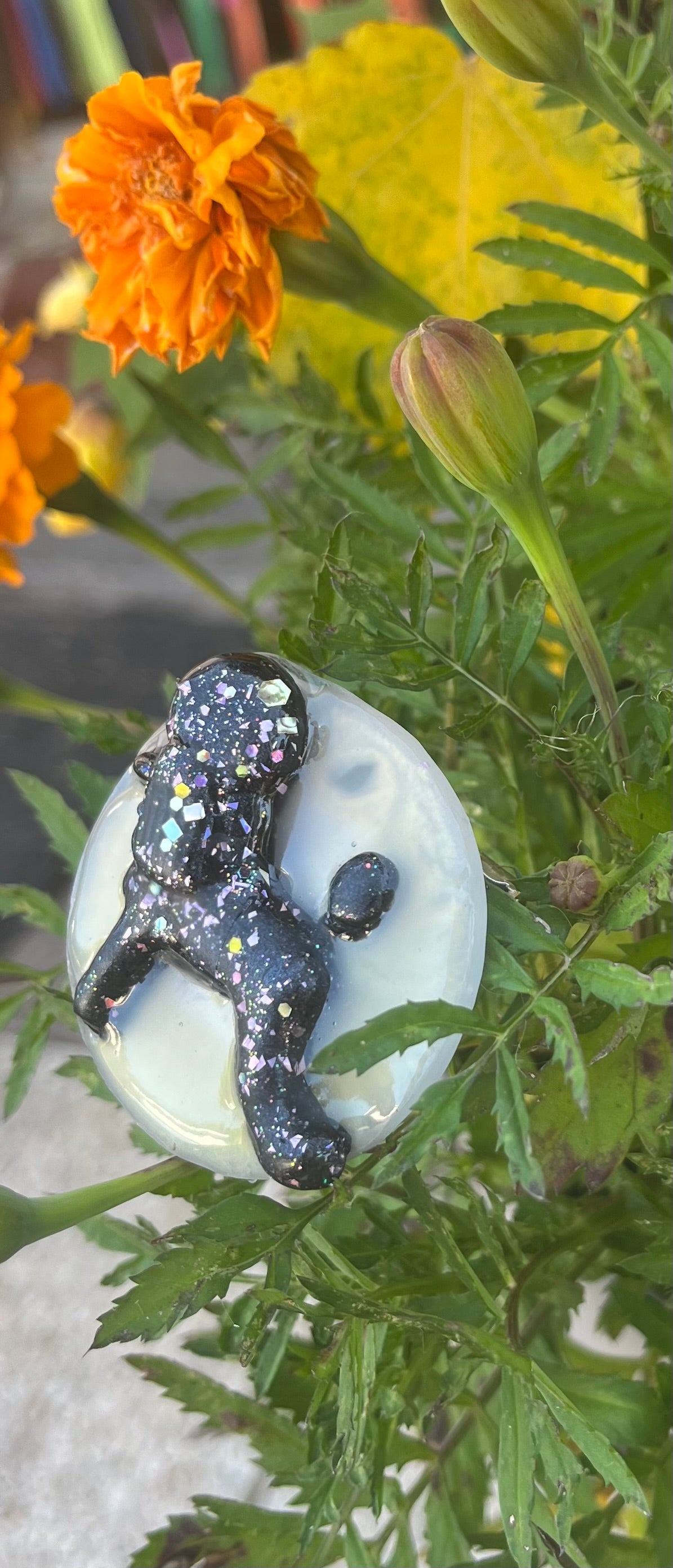 Broche caniche pour exposition canine