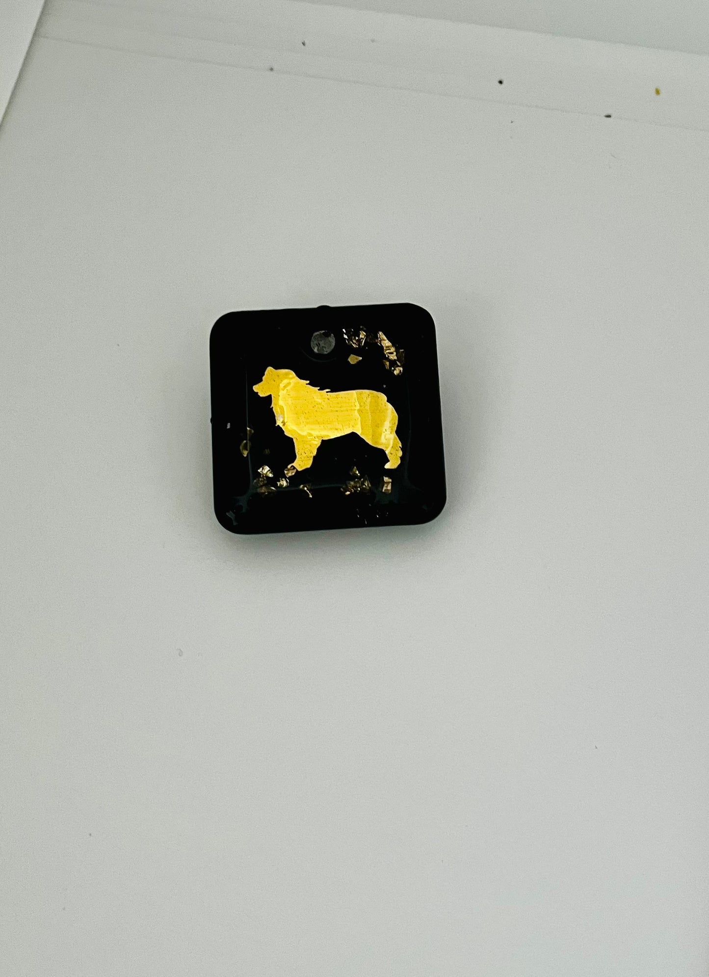 Broche pour Dogshow