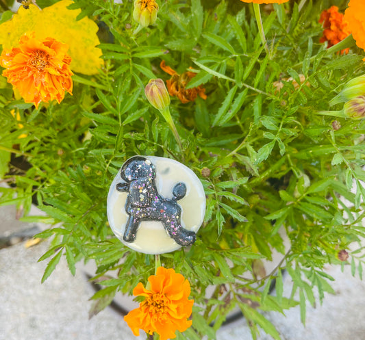 Broche caniche pour exposition canine