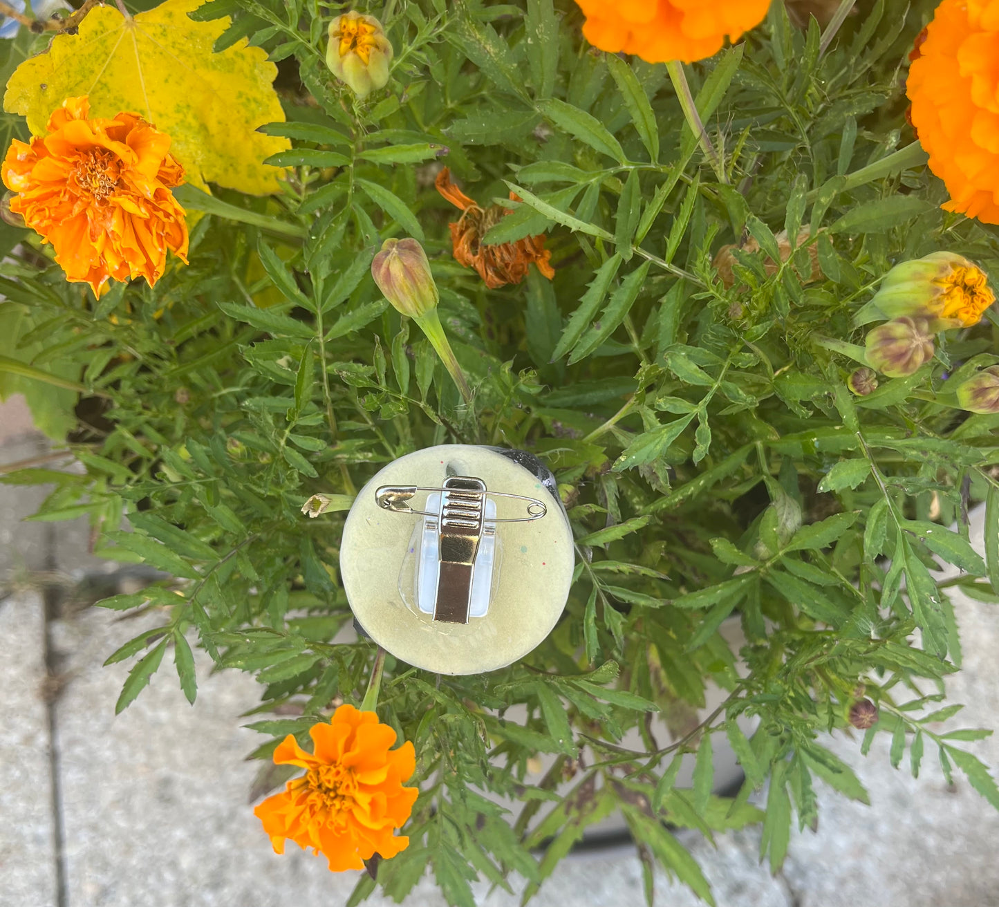 Broche pour Dogshow